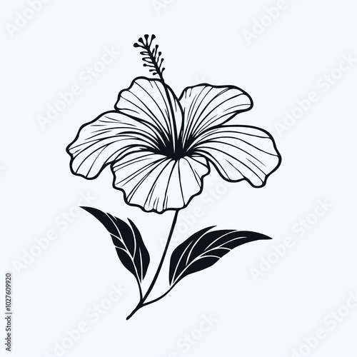 set of contour spring flowers hibiscus
line art floral, leaves
black and white illustration Chinese rose
set of decorative elements of plants stylized