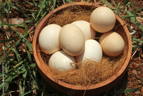 free range chicken eggs in a wooden bowl on an isolated background
