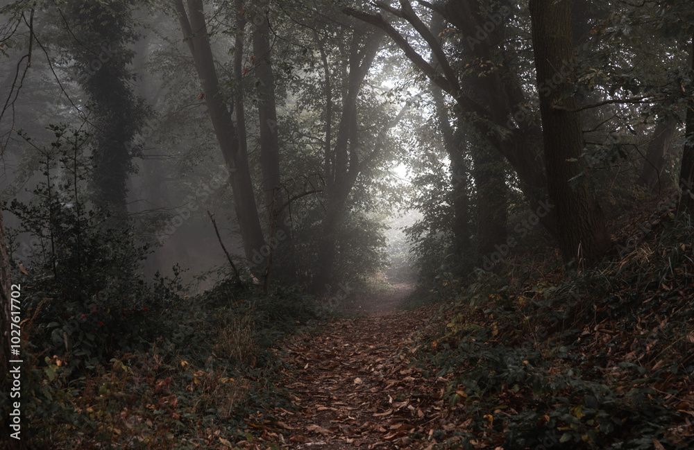 Nature landscapes in mystical mood