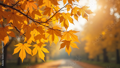 Golden maple leaves on branch against blurred autumn background