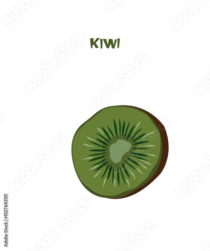 Vector illustration of half of kiwi isolated on white background. Flat design food card with Kiwi lettering. Organic food, healthy nutrition, vitamins. Fruit card for food industry and education