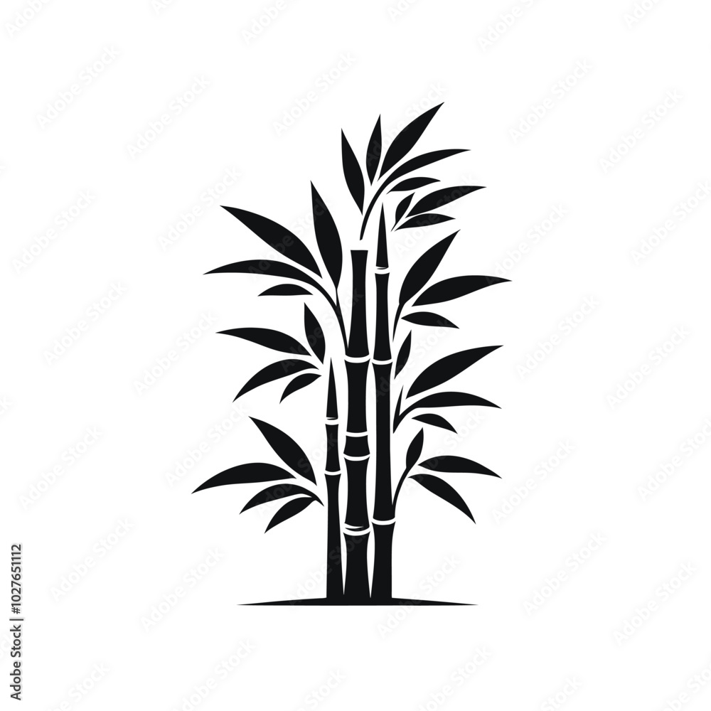 Fototapeta premium silhouette of bamboo