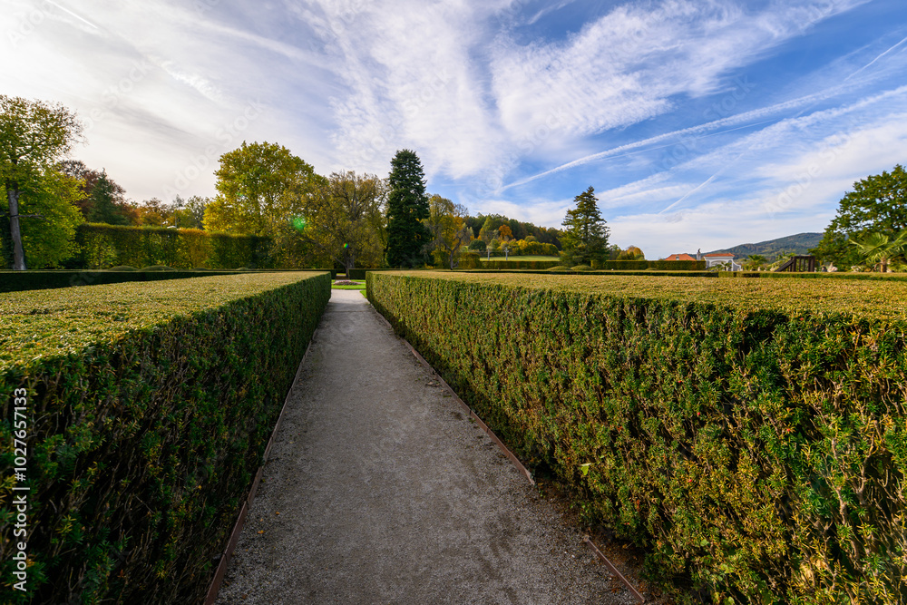 Obraz premium path in the park