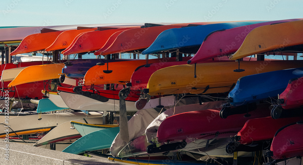 Vibrant canoes in Toronto city Vibrant canoes in Toronto city