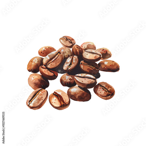 coffe beans vector illustration in watercolor style