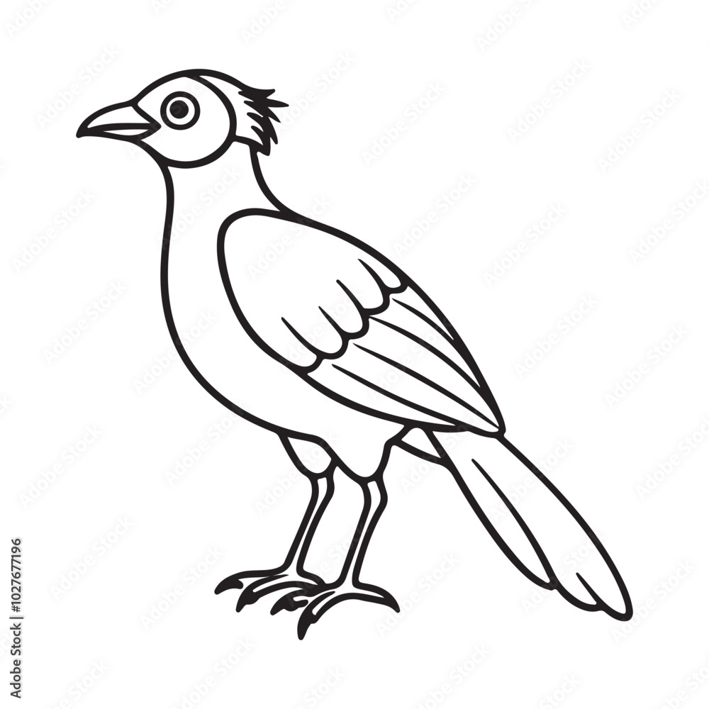 Bird Silhouette vector Graphic perfect for design projects Bird Silhouette vector Graphic perfect for design projects