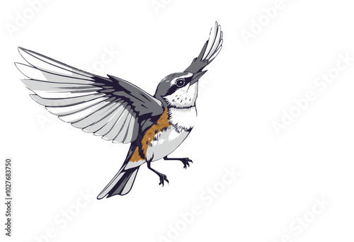 Flying bird illustration with spread wings