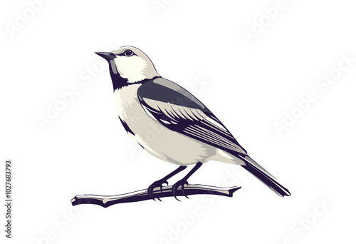 Vector illustration of a small bird perched on a branch.