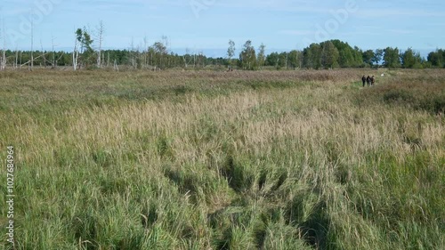 Sundische Wiesen im Nationalpark Vorpommersche Boddenlandschaft