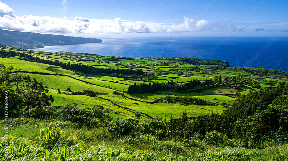 Obraz premium Scenic coastal landscape with lush greenery.