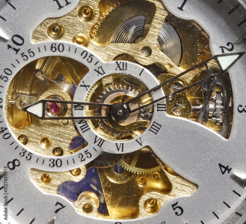 Close-up of a watch with a visible clock mechanism.
