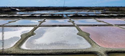 Marais salant de Guérande, Loire-Atlantique, France 