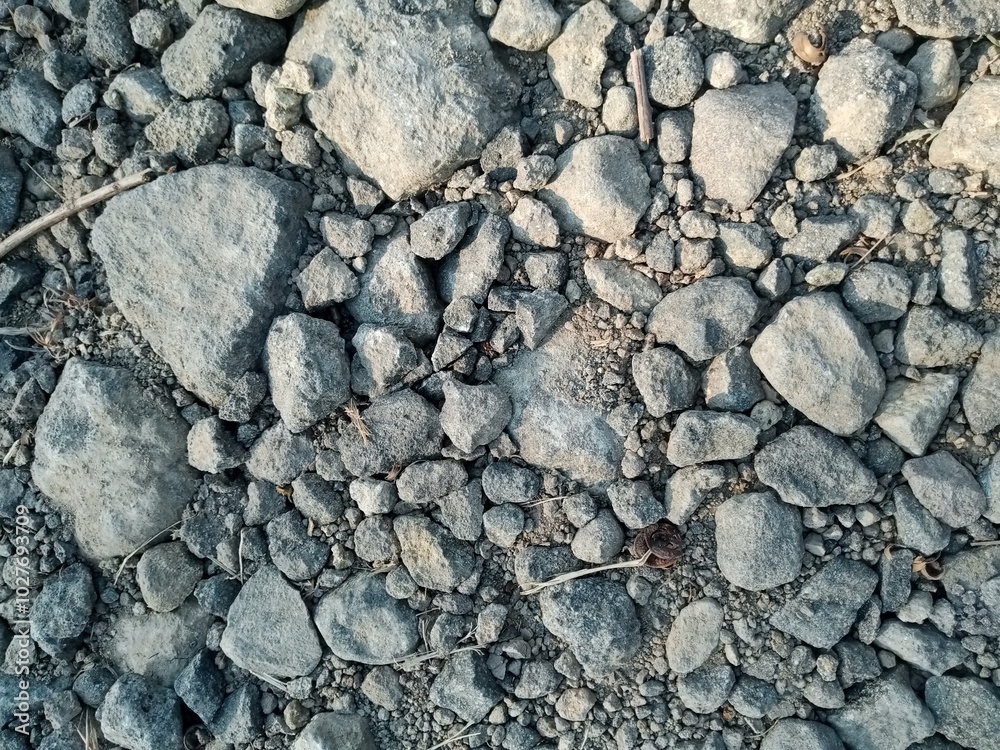small and medium rocks around dry land texture background small and medium rocks around dry land texture background