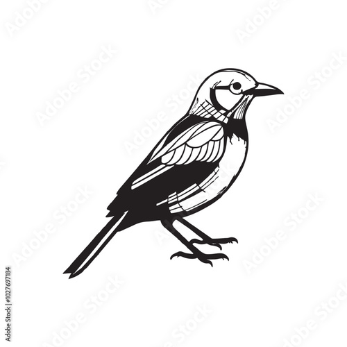 vector line Bird.eps