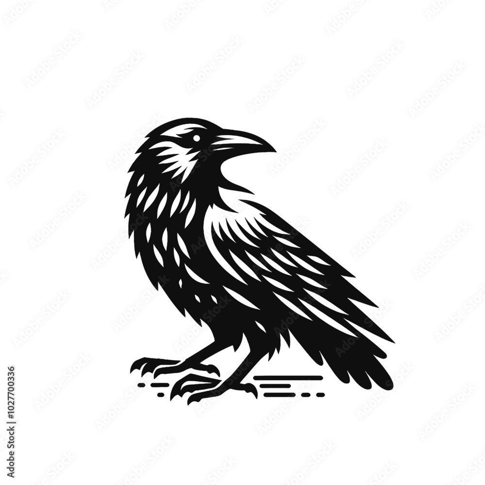 Fototapeta premium Crow or raven isolated modern vector illustration
