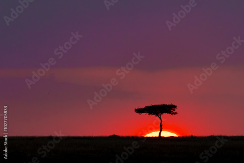 Serengeti Sunset, Africa