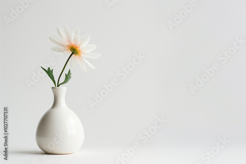 Simple white ceramic vase on plain white background