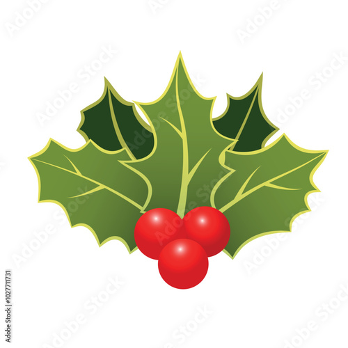 Christmas Holiday Branch with Holly Leaves and Red Berries. Vector Holiday Holly Branch Isolated on White