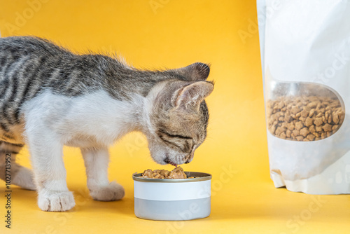 Cute Kitten Enjoying Cat Food