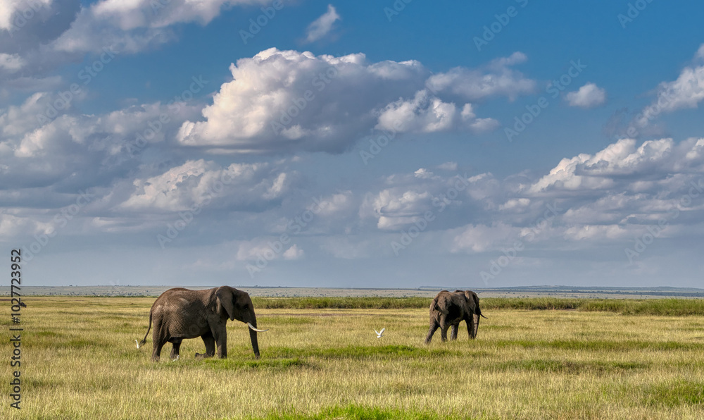 Kenya is a country in East Africa with a coastline on the Indian Ocean. Kenya is a country in East Africa with a coastline on the Indian Ocean.