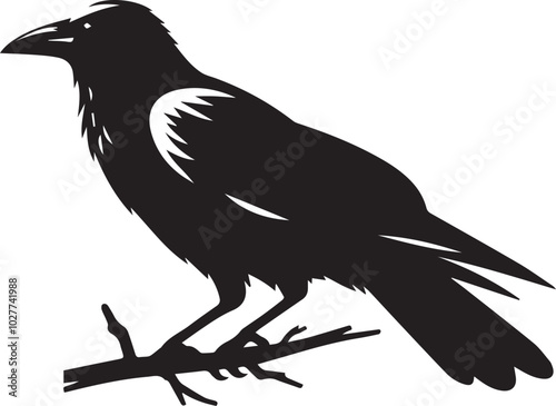 Black Crow Bird Silhouette isolated on a white background Minimalist crow vector illustration