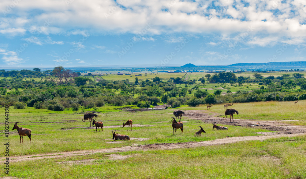 Kenya is a country in East Africa with a coastline on the Indian Ocean.