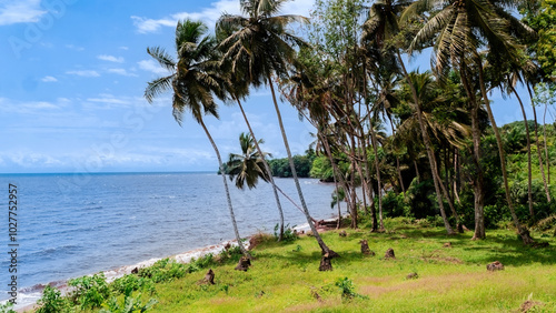Tropical paradise. Large green palm trees on the shores of the Atlantic Ocean. Africa.
