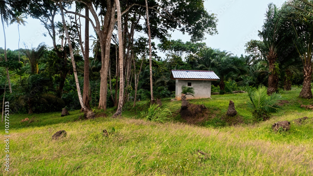 Wooden house in middle of an evergreen rainforest surrounded by wildlife. Jungle of Africa. Wooden house in middle of an evergreen rainforest surrounded by wildlife. Jungle of Africa.