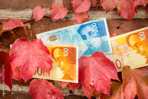 Israeli money against the background of red autumn leaves. Concept. Travel costs to Israeli memorial sites in Eastern Europe