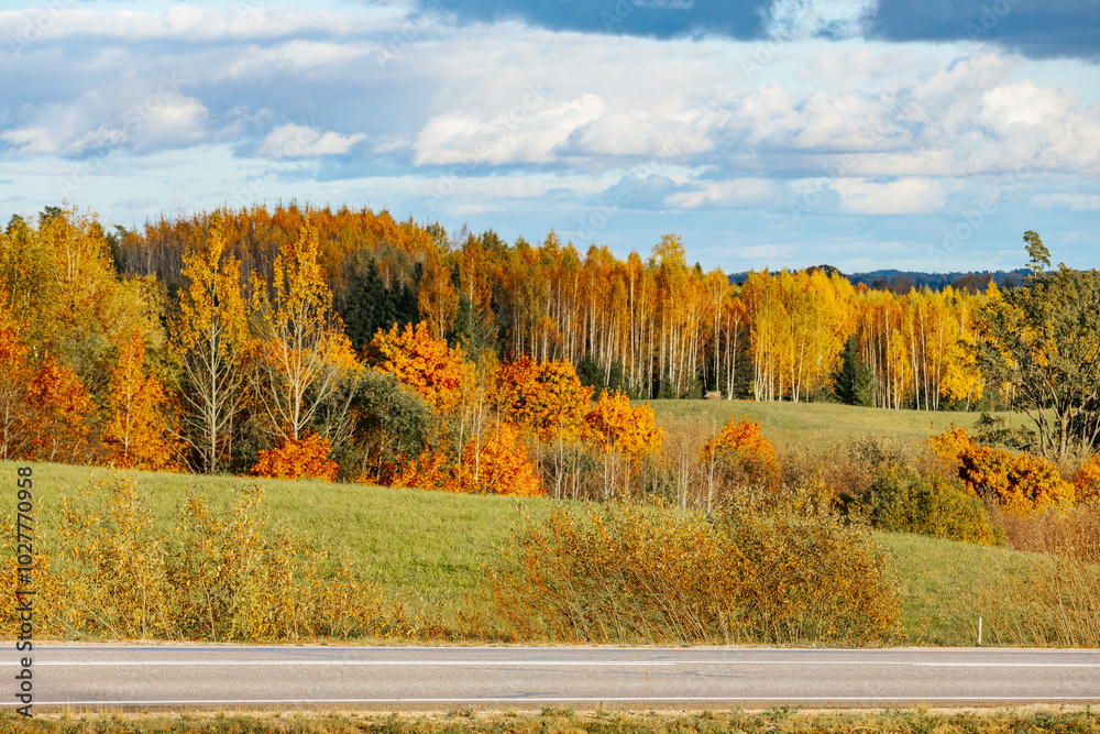 Fototapeta premium A picturesque autumn landscape featuring a vibrant mix of orange, yellow, and green trees stretching across rolling hills. The bright sky with scattered clouds