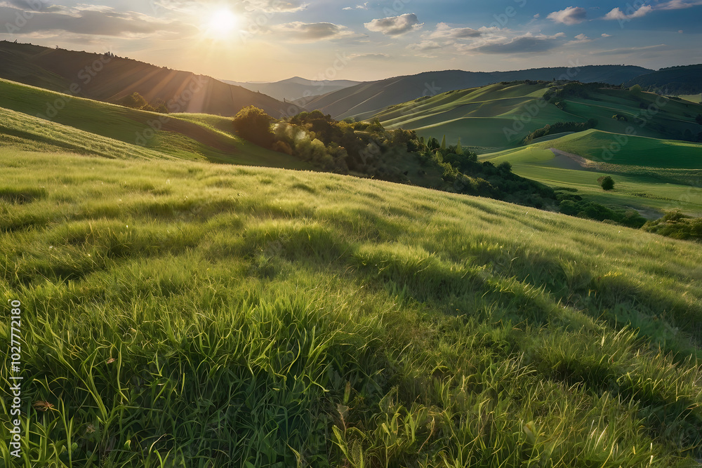 Obraz premium Realistic outdoor green grass ground field mountain hill public park and cloud and blue sky background with blur background in concept of freshness, growth, environment ecology and sustainablility
