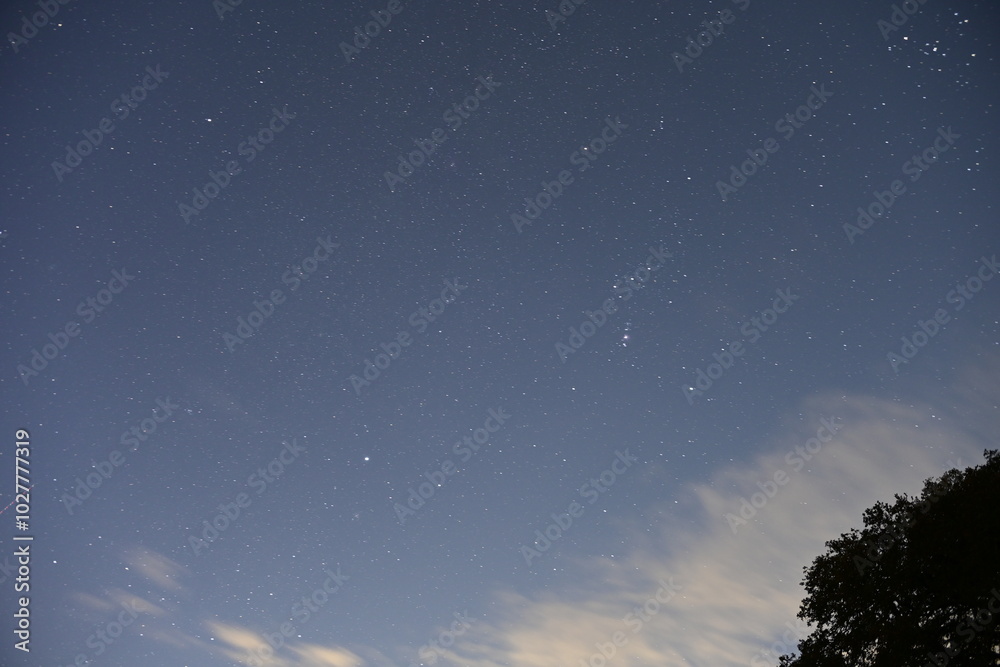 Naklejka premium starry night sky