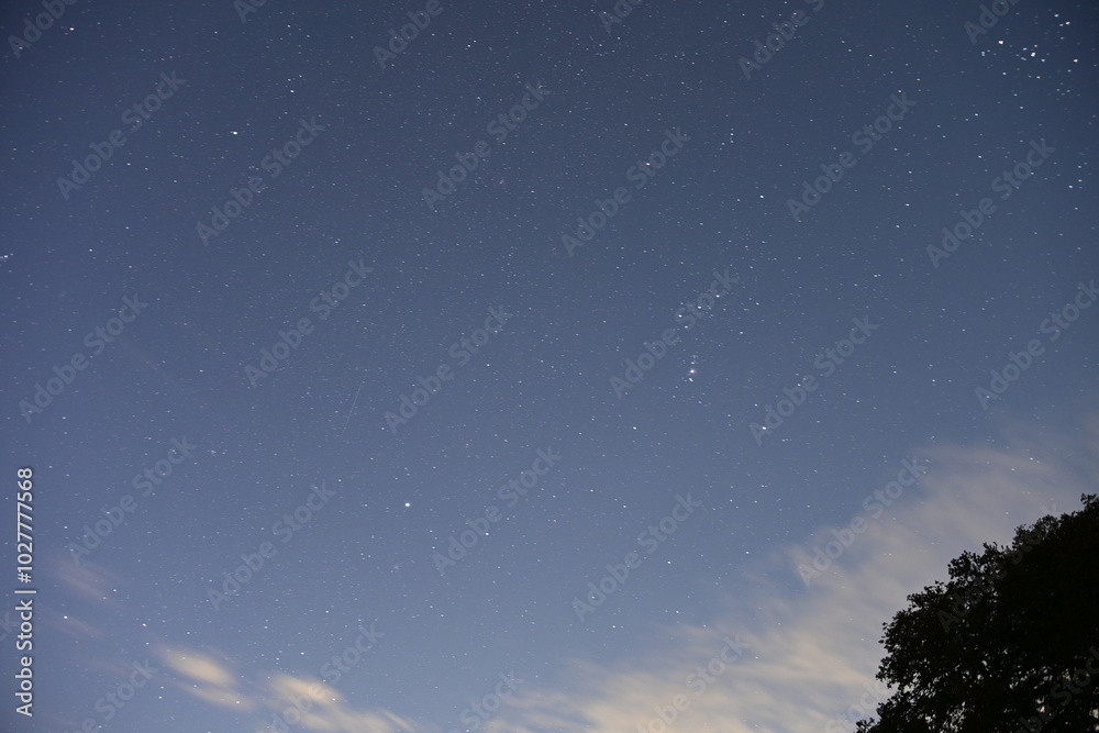 Naklejka premium starry night sky