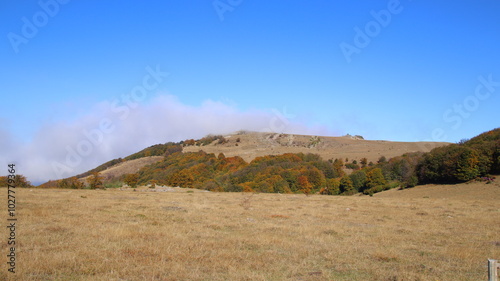 autumn landscape in the mountains