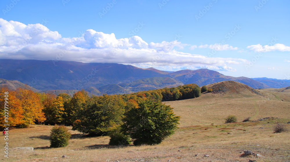 Fototapeta premium autumn landscape in the mountains