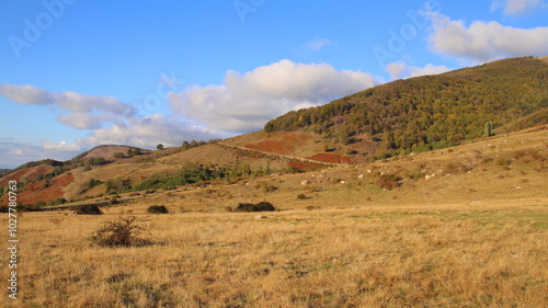 autumn landscape in the mountains