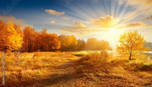 beautiful autumn landscape with yellow trees and sun