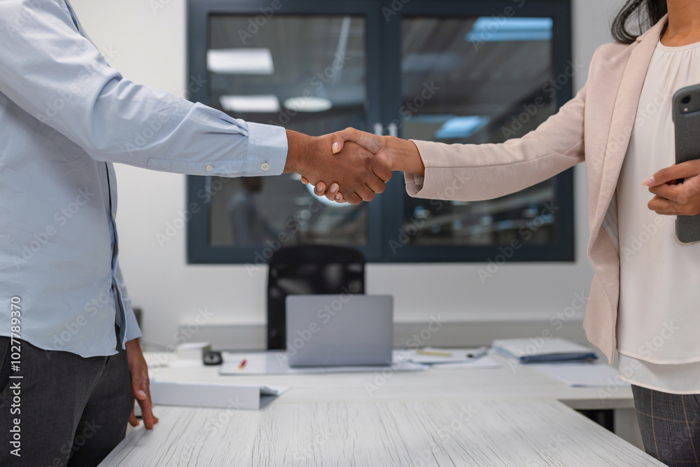 Fototapeta premium Indian female hiring manager shaking hands with an African American male candidate at the end of a successful job interview.
