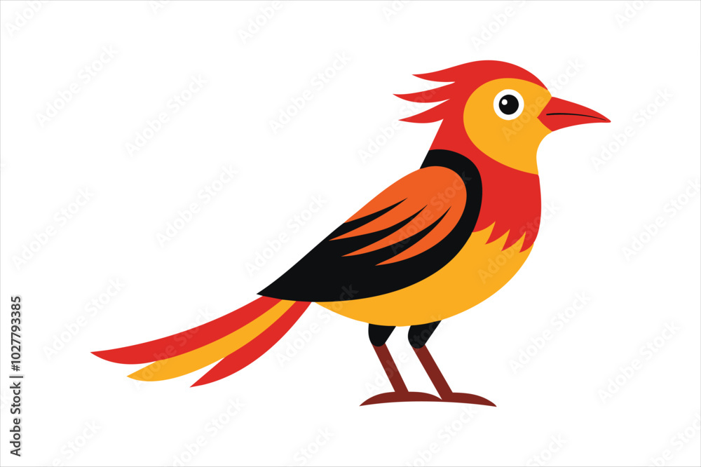 Obraz premium Weaver bird different style vector artwork illustration.