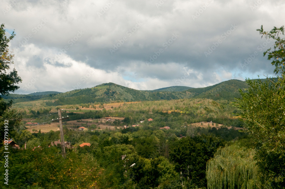 Obraz premium landscape with trees and clouds