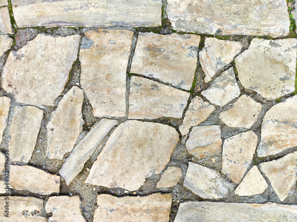 Obraz premium A textured pathway made of variously shaped stones, creating a rustic appearance in a sunlit garden area