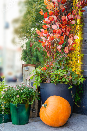 Autumn outdoor decor, home porch decoration for Halloween, Thanksgiving. Installation with orange pumpkin, red leaves, chrysanthemums in pots, space for a copy