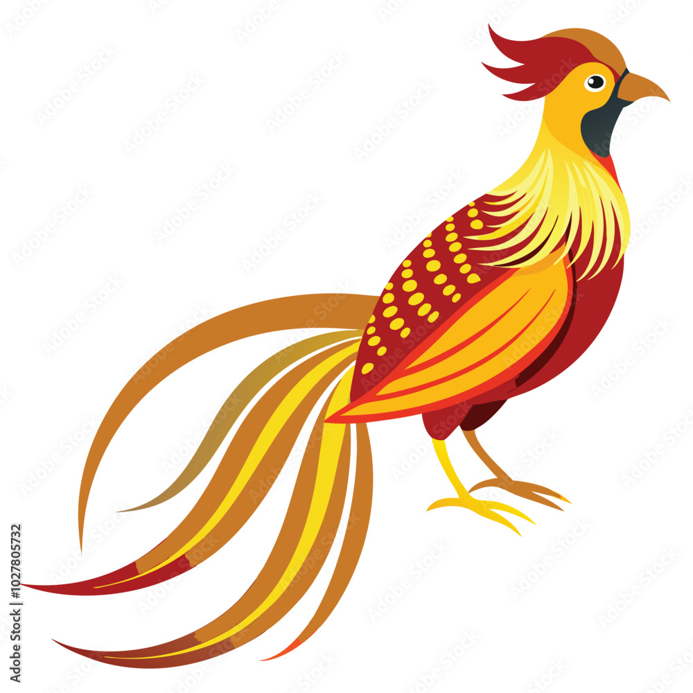 Obraz premium golden pheasant isolated on white a golden pheasant with its long flowing tail feat Gold Peacock vector on white background