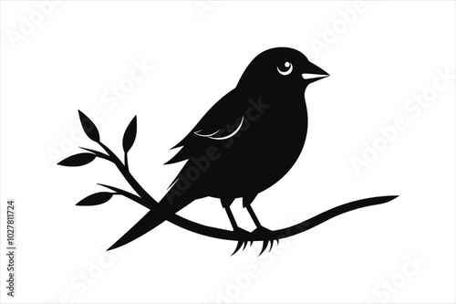  Weaver bird sitting on a branch silhouette black vector art illustration.
