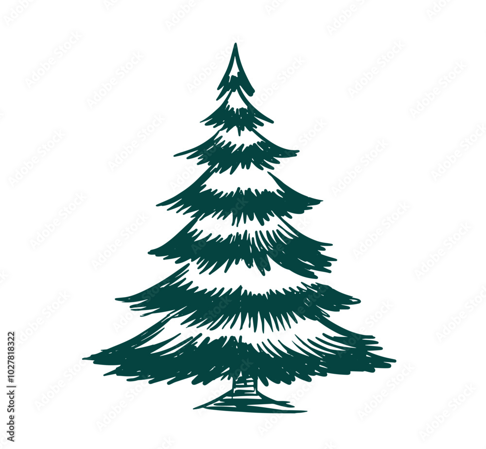 Christmas tree on white, hand drawn style, vector