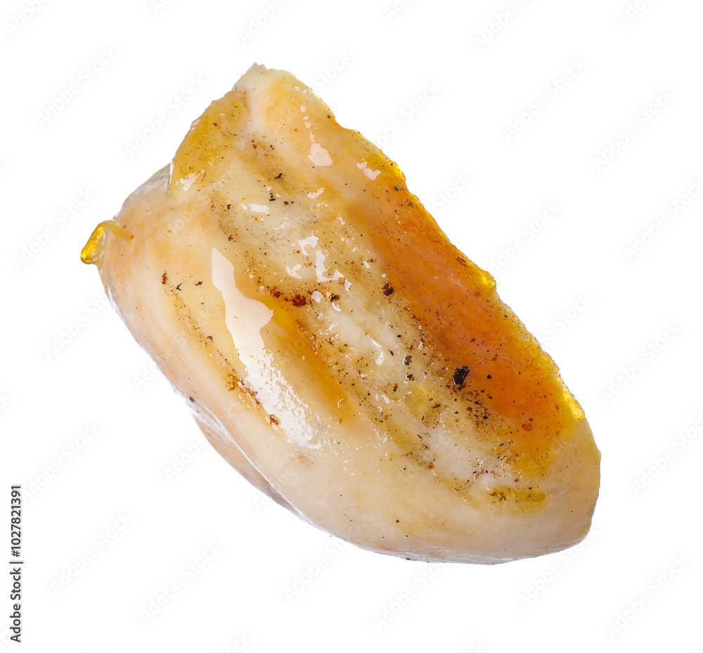 Piece of grilled chicken meat isolated on white Piece of grilled chicken meat isolated on white