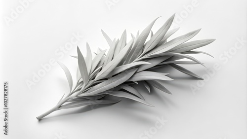 A Single Branch of White Leaves on a White Background