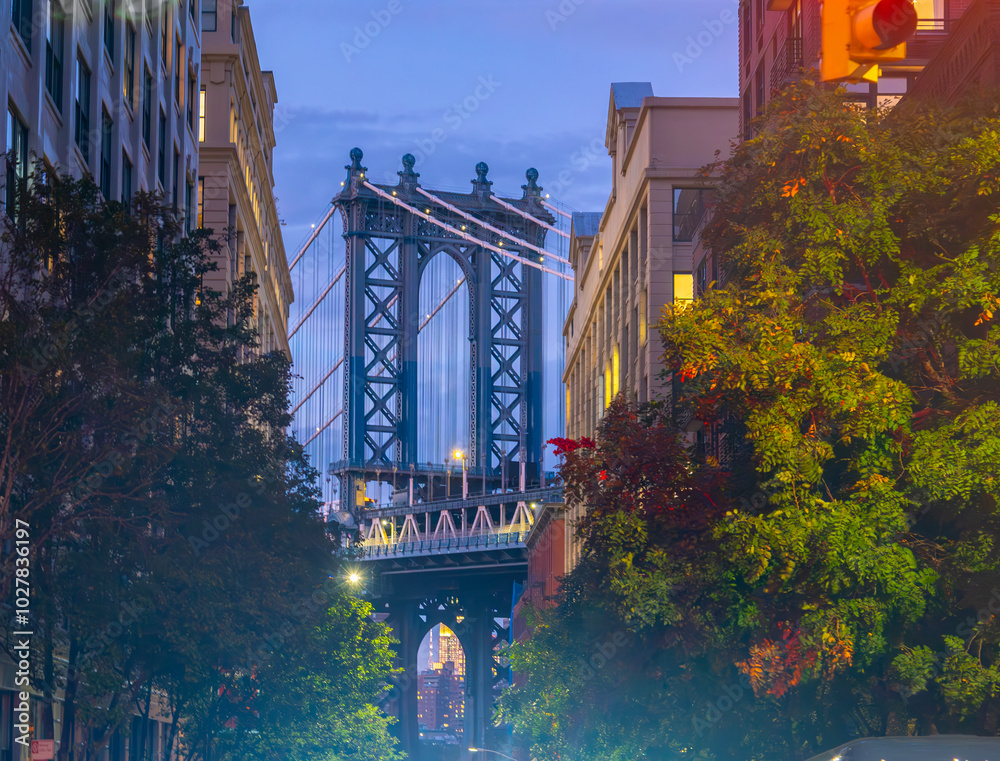 Fototapeta premium Manhattan Bridge seen from Dumbo