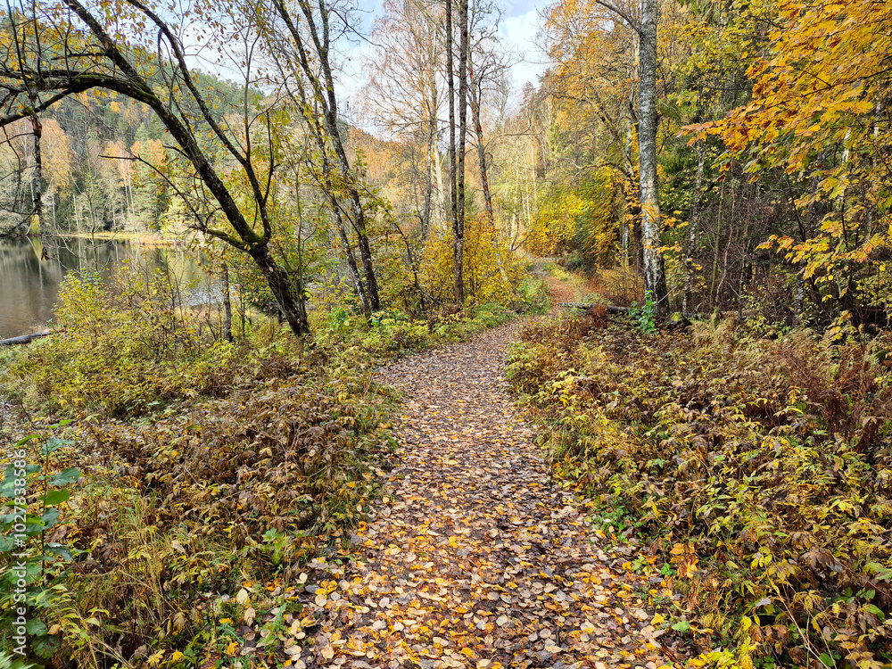 Fototapeta premium Autumn