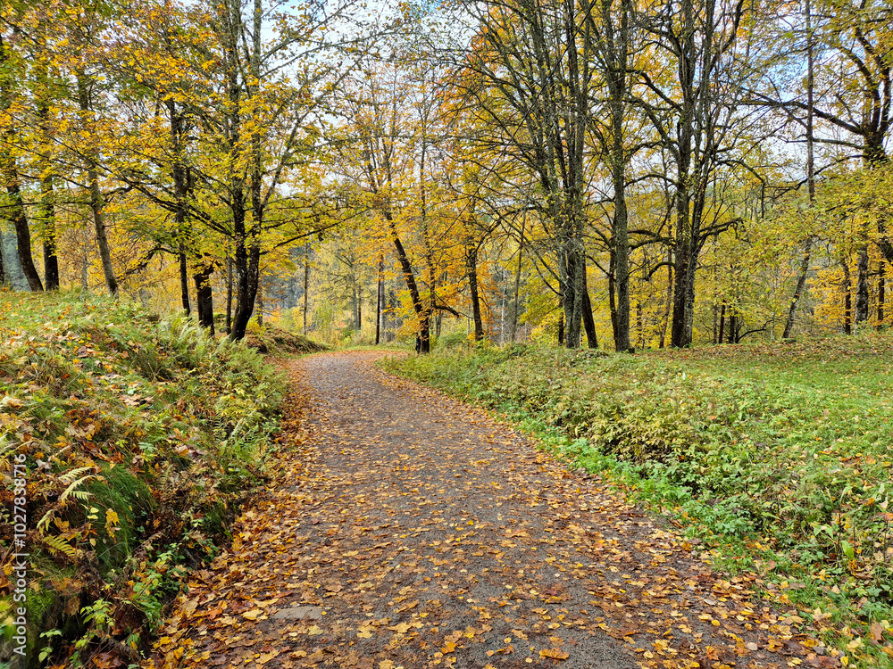 Naklejka premium Autumn